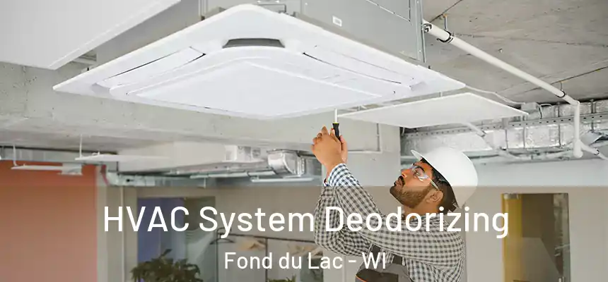  HVAC System Deodorizing Fond du Lac - WI