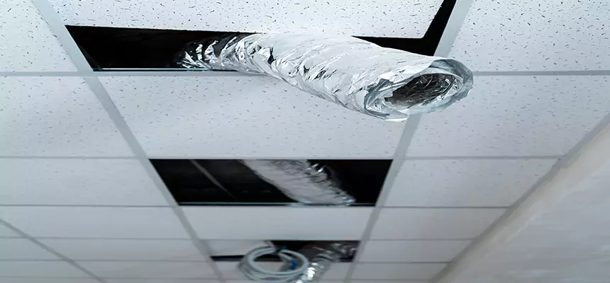 Affordable HVAC Sanitizing After Pest Removal in Fond du Lac