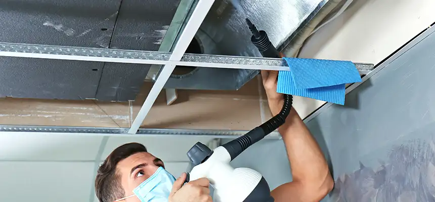 Our Air Duct Rodent Removal Services in Fond du Lac, WI