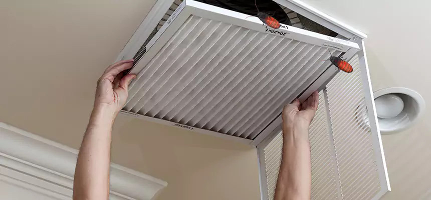 Our Insect Removal from Air Ducts Services in Fond du Lac, WI