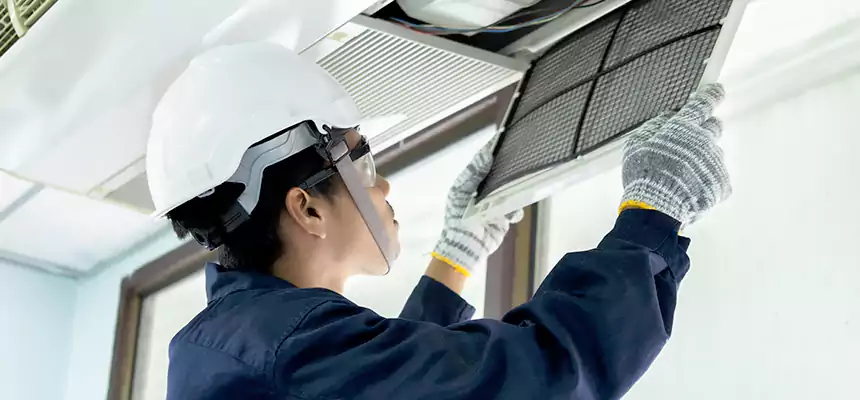 Our Mold & Mildew Removal from Air Ducts Services in Fond du Lac, WI