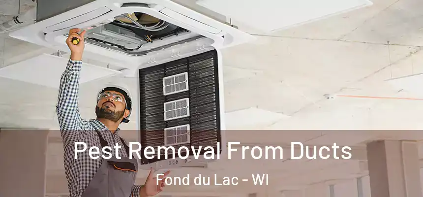  Pest Removal From Ducts Fond du Lac - WI