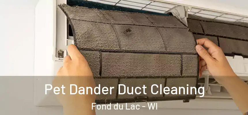  Pet Dander Duct Cleaning Fond du Lac - WI