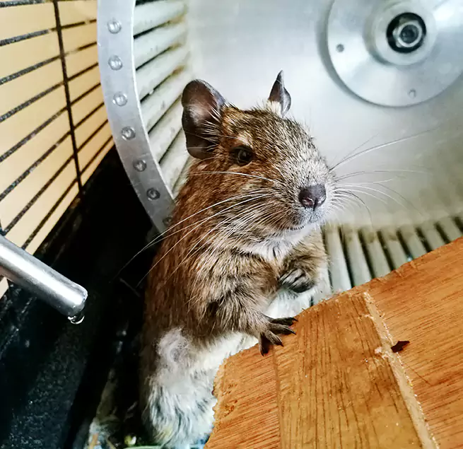 Why Homeowners & Businesses Trust Us Fond du Lac, WI